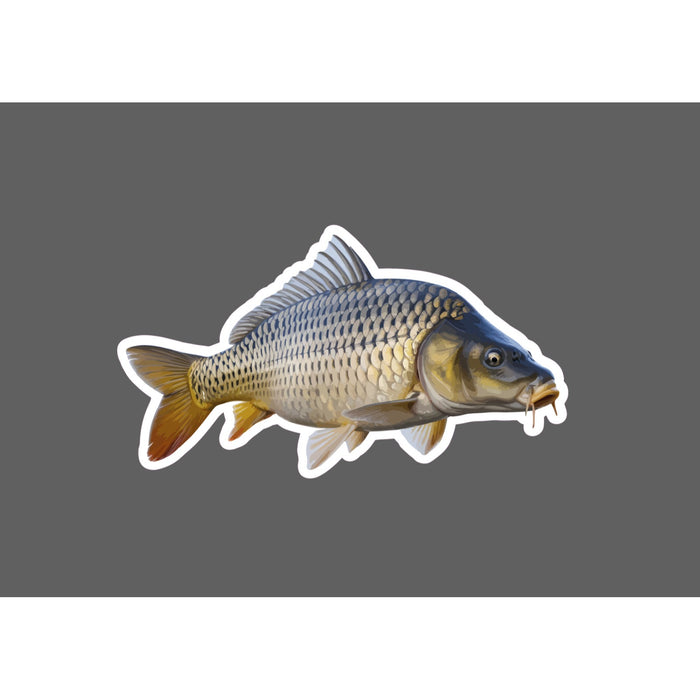 Carp Sticker Animal Fish Outdoor Wildlife Nature Gift Waterproof NEW