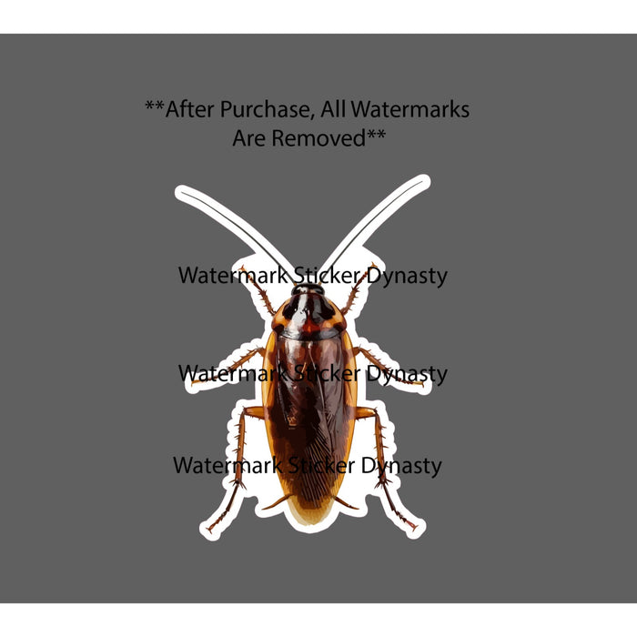 Cockroach Sticker Waterproof Decal Insect Bug Wildlife Nature Gift NEW