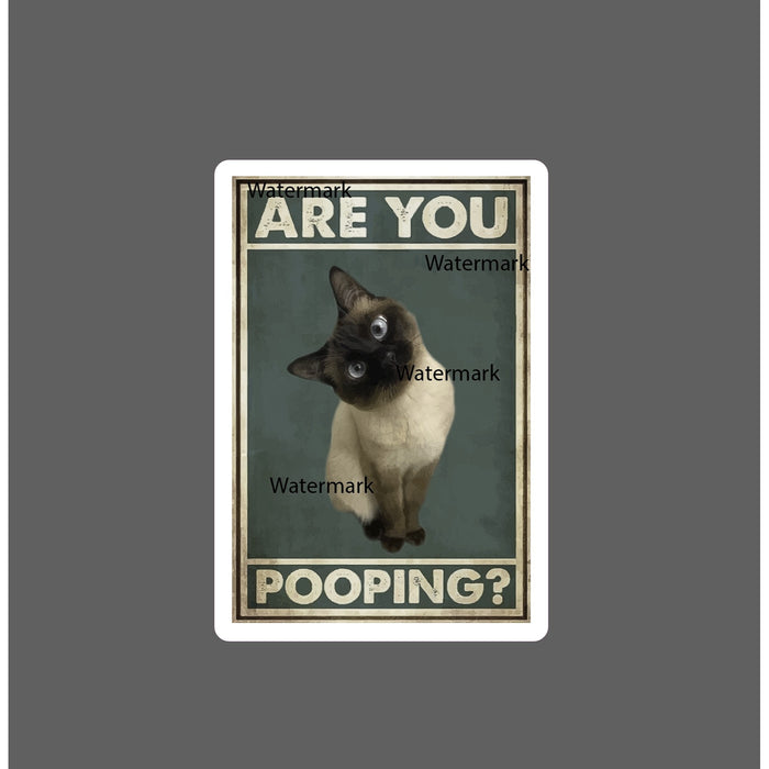 Are You Pooping Sticker Cat Curiosity NEW