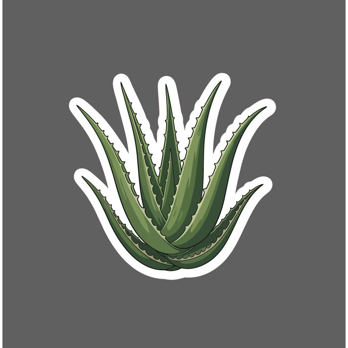 Aloe Vera Sticker Plant Succulent Medicine House Plant Gift Waterproof NEW
