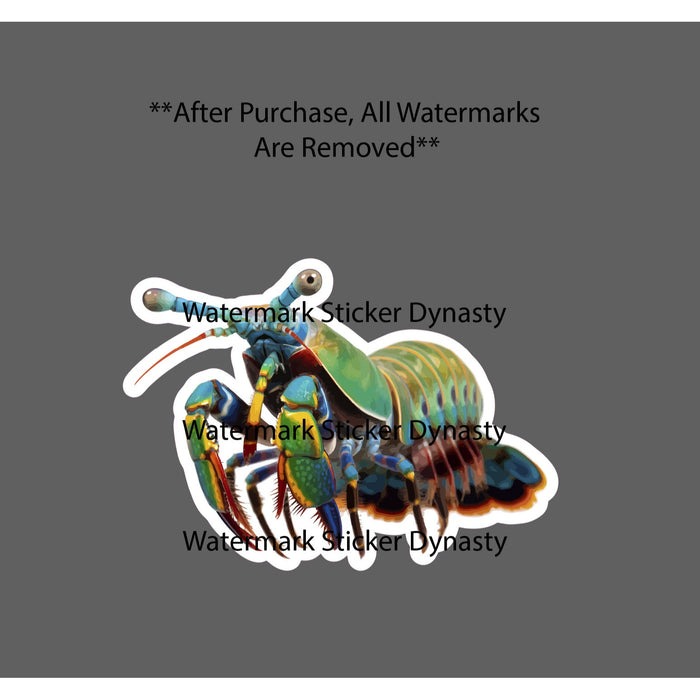 Mantis Shrimp Sticker Waterproof Decal Animal Ocean Beach Wildlife Gift NEW