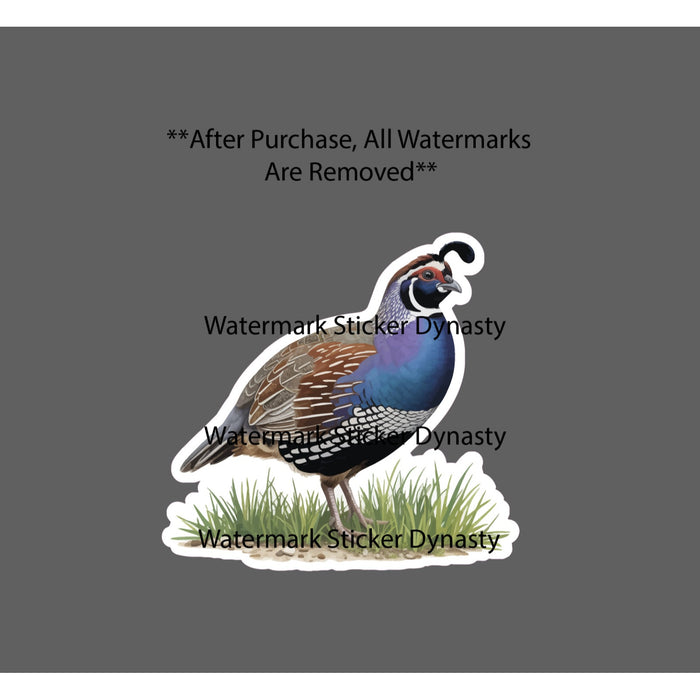 Quail Sticker Waterproof Decal Animal Bird Farm Egg Homestead Gift NEW