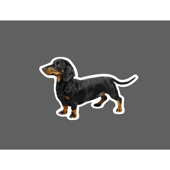 Dachshund Sticker Dog Friend