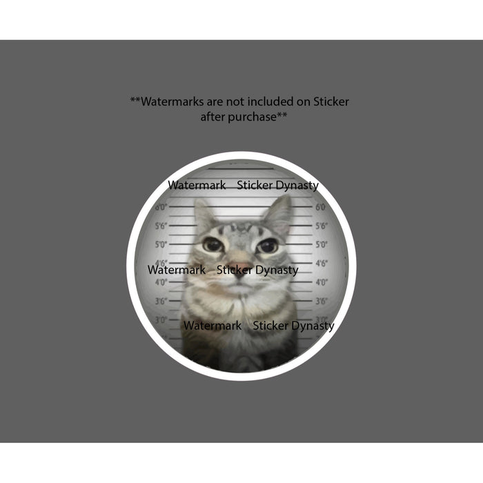 Cat Jail Sticker Mugshot Prison Bad Funny Cute Humor Waterproof Decal Gift NEW