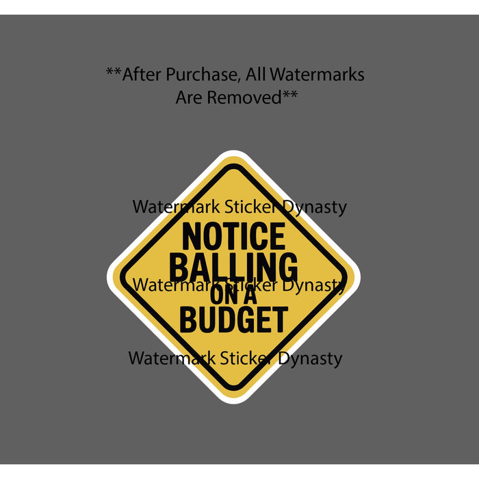 Balling on a Budget Sticker Waterproof Decal Quote Funny Humor Gift NEW