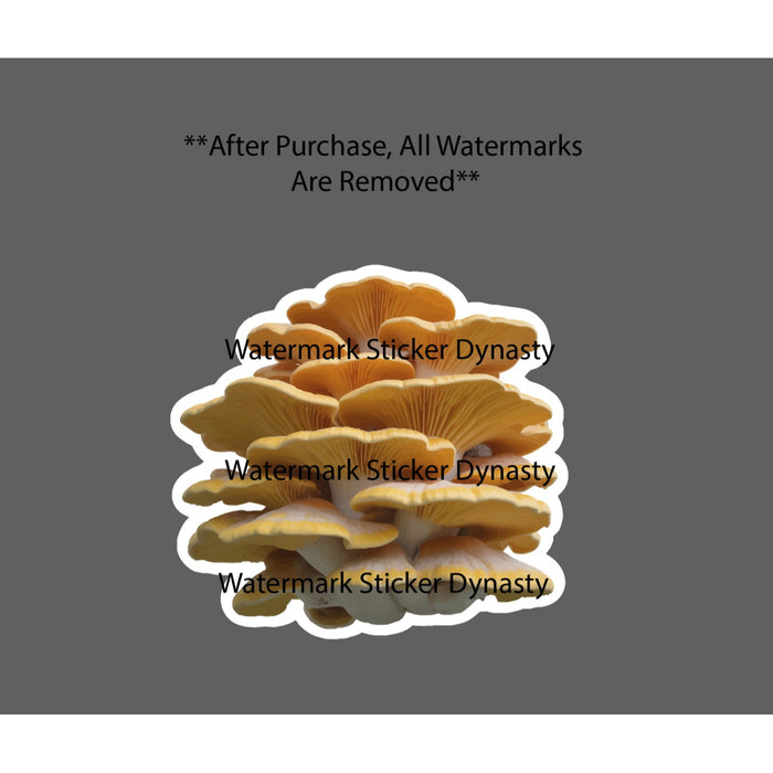 Chicken of the Woods Sticker Waterproof Decal Fungus Fungi Forage Gift NEW