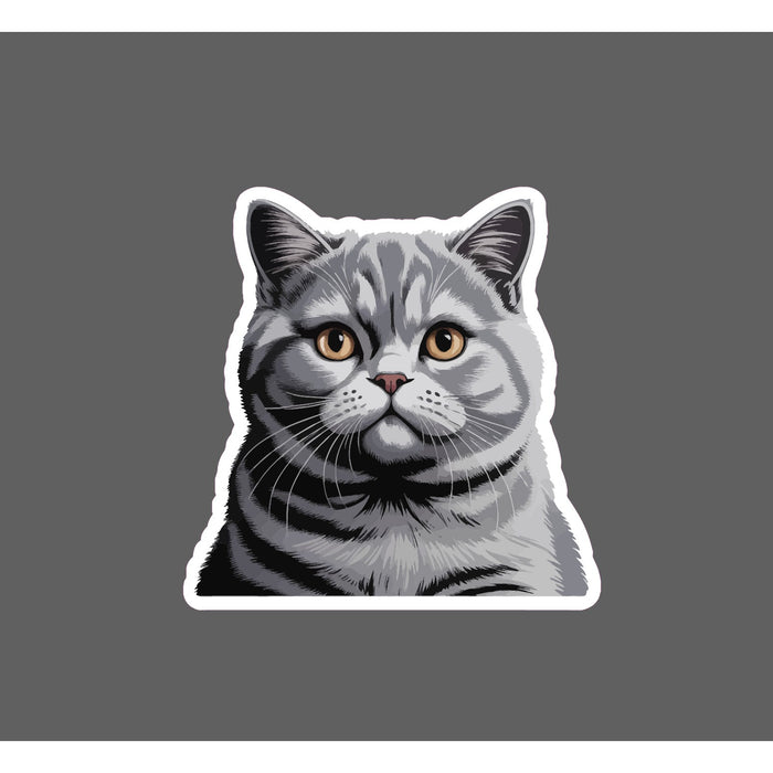 British Short Hair Sticker Waterproof Decal Cat Feline Friend Family Gift NEW