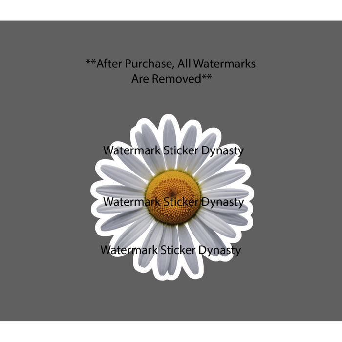 Daisy Sticker Waterproof Decal Flower Floral Garden Nature Gift NEW
