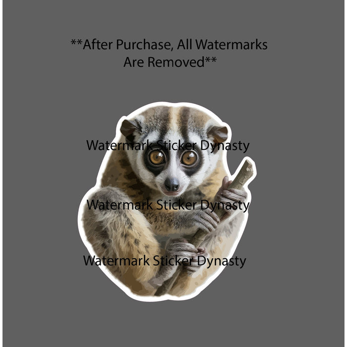 Slow Loris Sticker Waterproof Decal Animal Wildlife Nature Gift NEW
