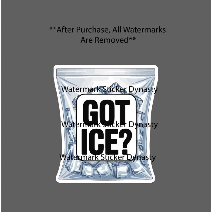 Got Ice Sticker Waterproof Decal Ice Bag Sports Med Gym Workout Trainer Gift NEW