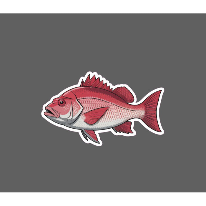 Red Snapper Sticker Fish Outdoor Wildlife Nature Ocean Waterproof Gift NEW
