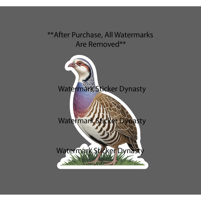 Partridge Sticker Waterproof Decal Bird Animal Outdoor Nature Wildlife Gift NEW