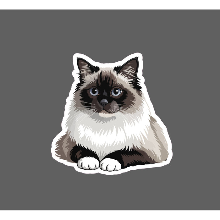Birman Cat Sticker Cats Animal Pet Friend Love Family Cute Gift Waterproof NEW