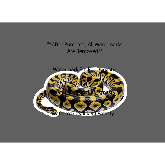 Python Sticker Waterproof Decal Animal Snake Pet Outdoor Wildlife Gift NEW