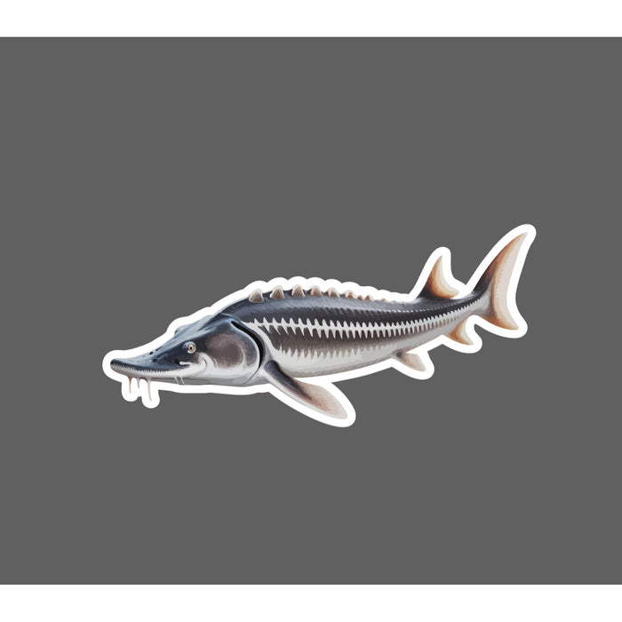 Sturgeon Sticker Fish Animal Outdoor Wildlife Nature Gift Waterproof NEW