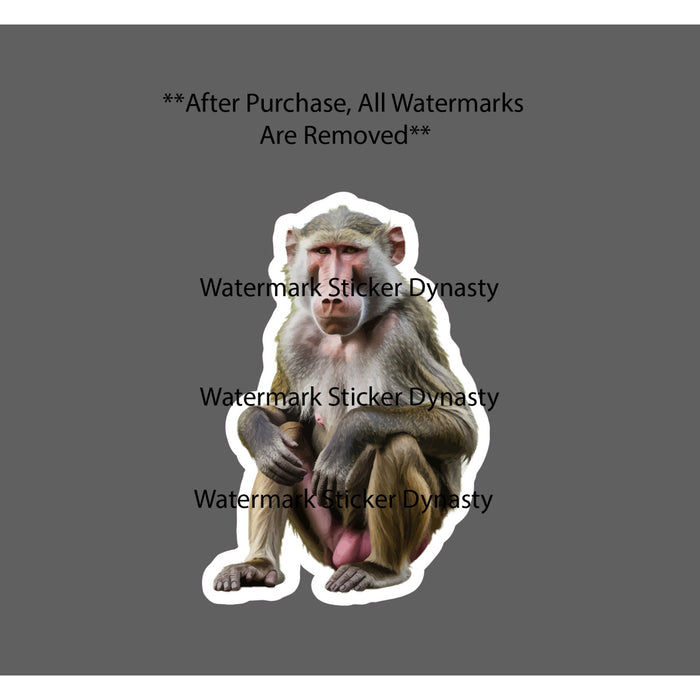 Baboon Sticker Waterproof Decal Animal Monkey Primate Outdoor Zoo Gift NEW