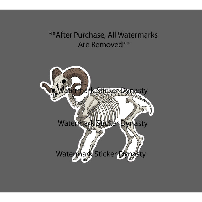 Ram Skeleton Sticker Waterproof Decal Bones Animal Outdoor Wildlife Gift NEW
