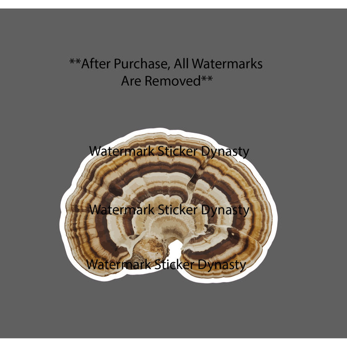 Turkey Tail Sticker Waterproof Decal Mushroom Fungi Forage Outdoor Gift NEW
