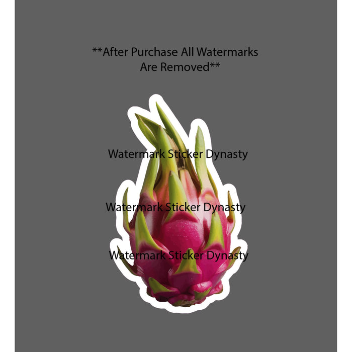 Dragon Fruit Sticker Waterproof Decal Exotic Food Health Plant Gift NEW