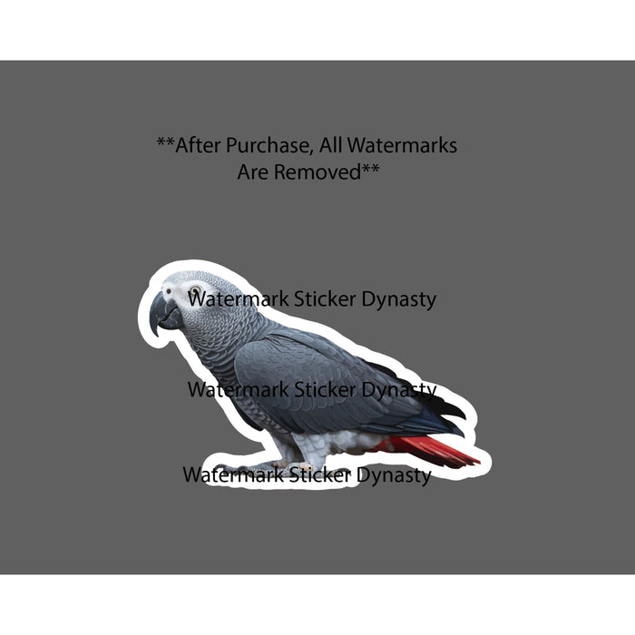 African Grey Parrot Sticker Waterproof Decal Bird Pet Animal Exotic Gift NEW
