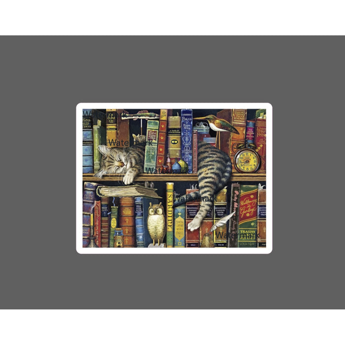 Cat Sleeping Sticker Library Books NEW