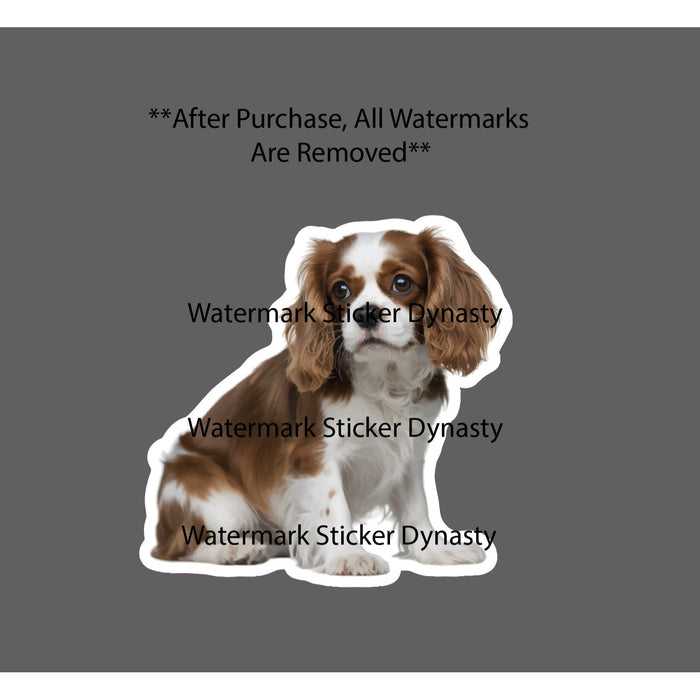 Cavalier King Charles Spaniel Sticker Waterproof Decal Dog Pet Animal Gift NEW