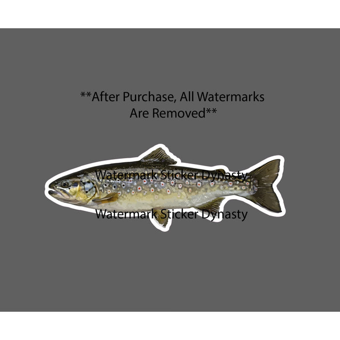Brook Trout Sticker Waterproof Decal Fishing Outdoor Fish Wildlife Gift NEW