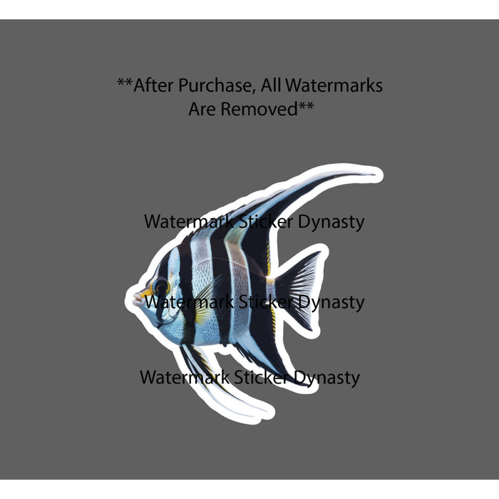 Angelfish Sticker Waterproof Decal Ocean Animal Beach Wildlife Gift NEW
