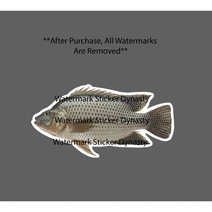 Tilapia Sticker Waterproof Decal Fish Animal Fishing Farm Wildlife Gift NEW