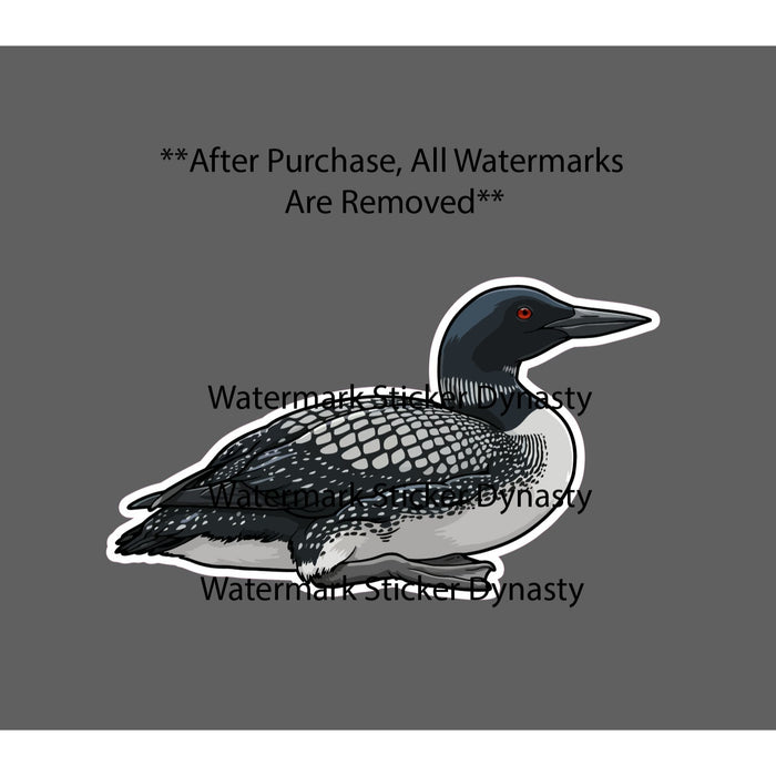 Common Loon Sticker Waterproof Decal Bird Animal Wildlife Nature Gift NEW