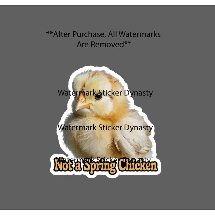 Not A Spring Chicken Sticker Waterproof Decal Farm Farmhouse Quote Gift NEW