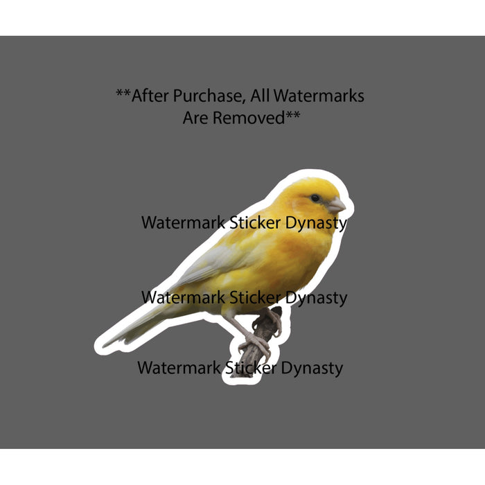 Canary Sticker Waterproof Decal Bird Animal Pet Outdoor Wildlife Pets Gift NEW