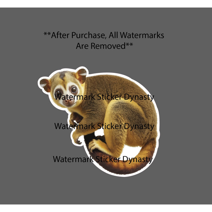 Kinkajou Sticker Waterproof Decal Animal Wildlife Outdoor Nature Gift NEW