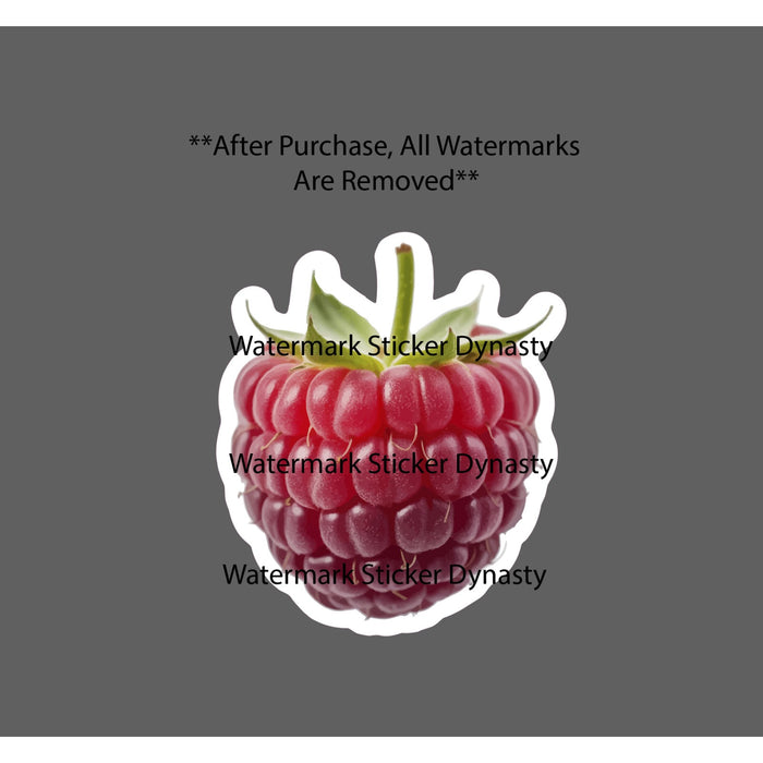 Raspberry Sticker Waterproof Decal Food Fruit Bush Farm Garden Gift NEW