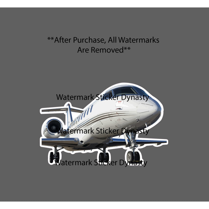 Private Jet Sticker Waterproof Decal Travel Business Work Plane Pilot Gift NEW