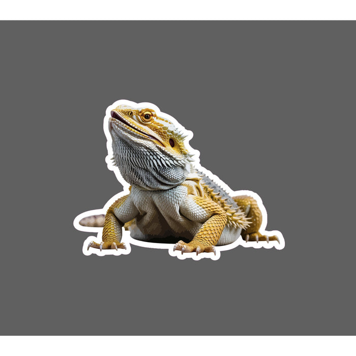 Bearded Dragon Sticker Lizard Animal Pet Friend Wildlife Gift Waterproof NEW