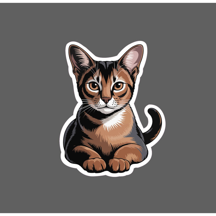 Abyssinian Cat Sticker Animal Pet Friend Pretty Feline Gift Waterproof NEW