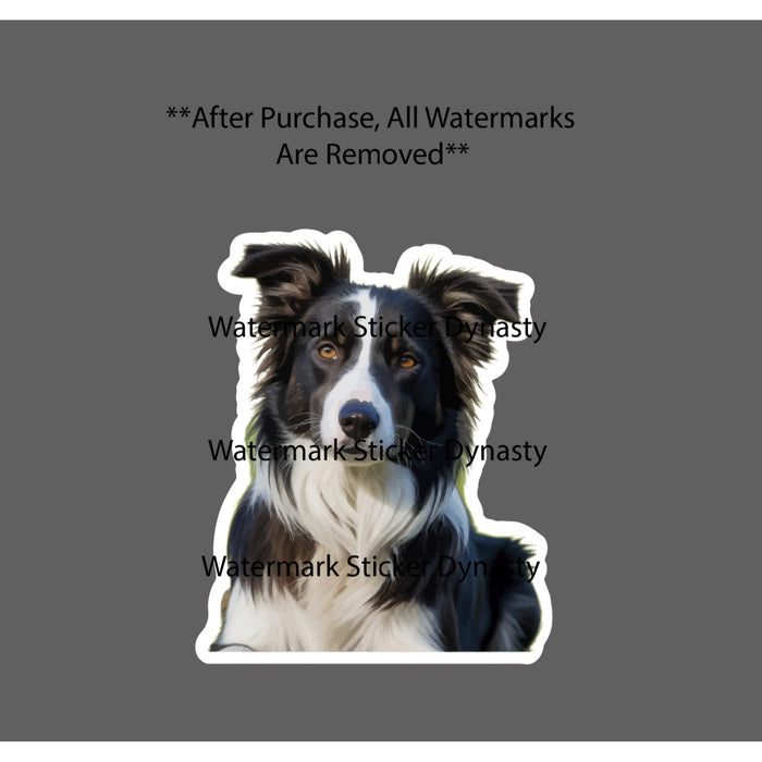 Bordie Collie Sticker Waterproof Decal Dog Animal Pet Friend Family Gift NEW