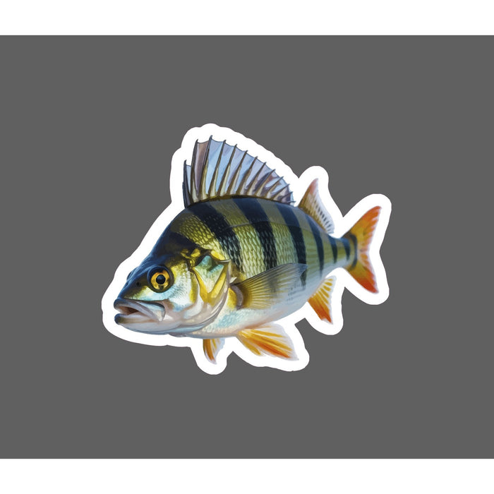 Perch Sticker Animal Fish Outdoor Wildlife Nature Gift Waterproof NEW