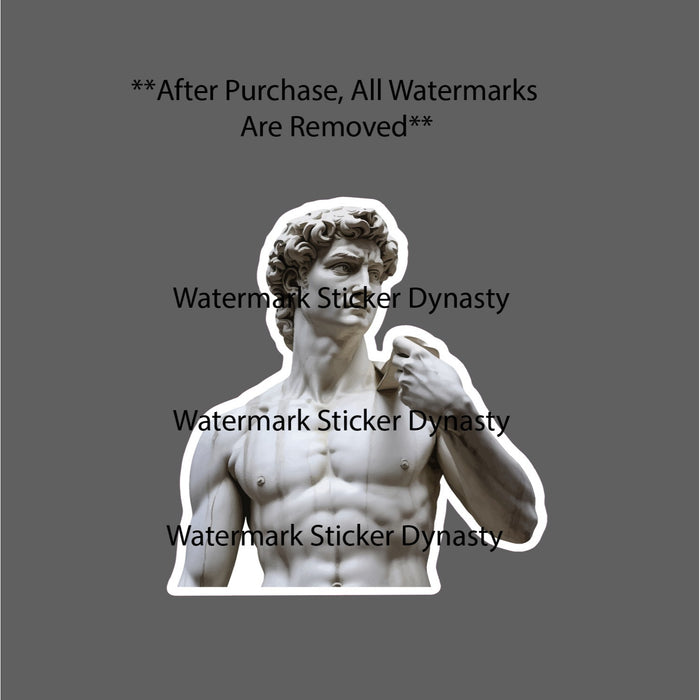 Marble Statue of David Sticker Waterproof Decal King Michaelangelo Art Gift NEW