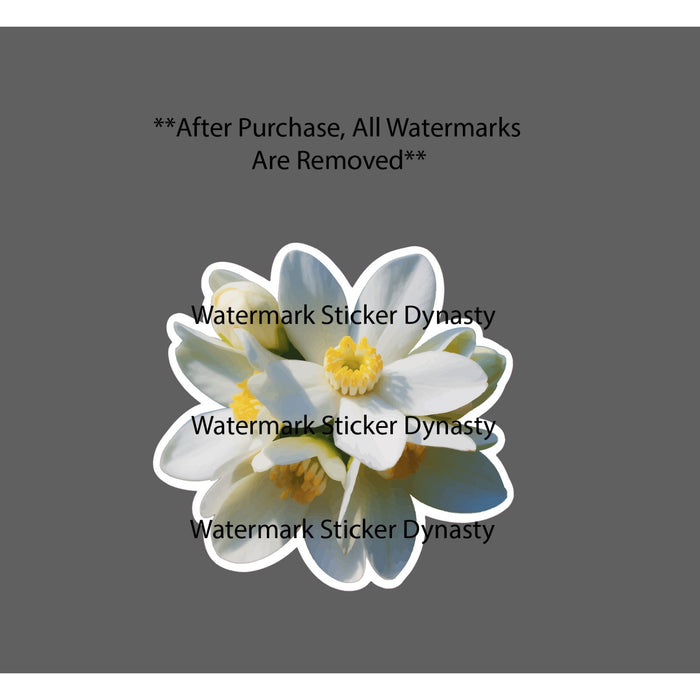 Jasmine Flowers Sticker Waterproof Decal Floral Nature Wild Gift NEW