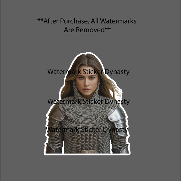 Knight Woman Sticker Waterproof Decal Girl Soldier Chainmail Armor War Gift NEW