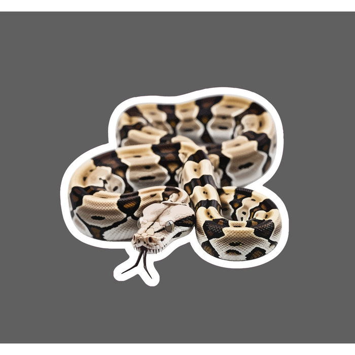 Boa Constrictor Sticker Waterproof Decal Snake Animal Pet Outdoor Wild Gift NEW