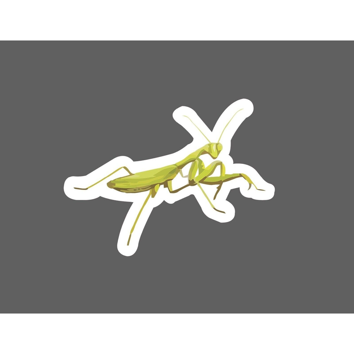 Praying Mantis Sticker Insect — StickerDynasty