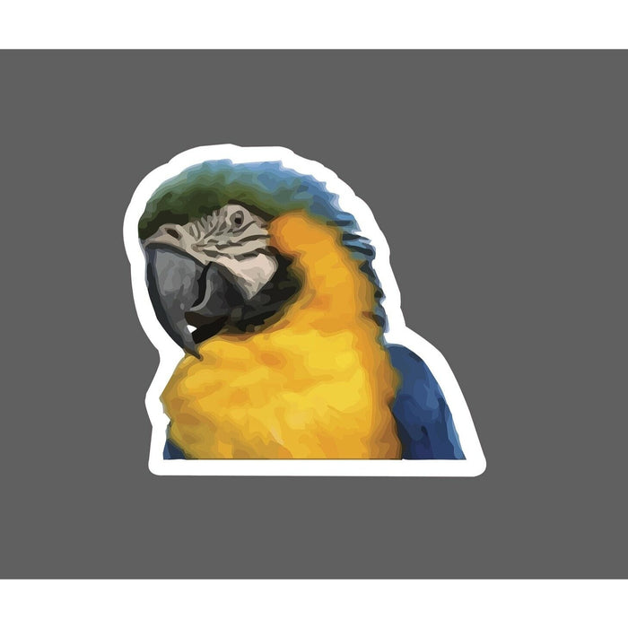 Parrot Sticker Realistic Bird