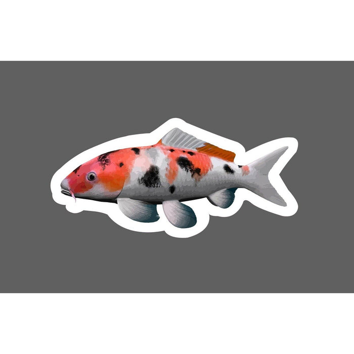 Koi Fish Sticker Realistic