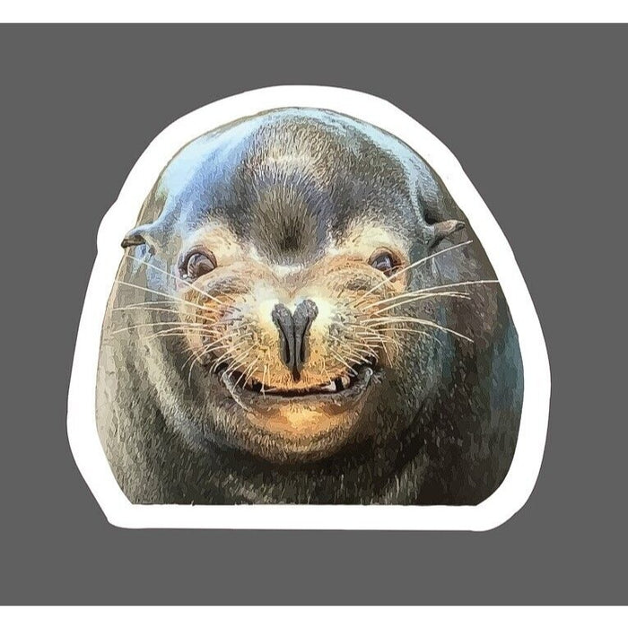 Seal Smile Sticker Smile Funny