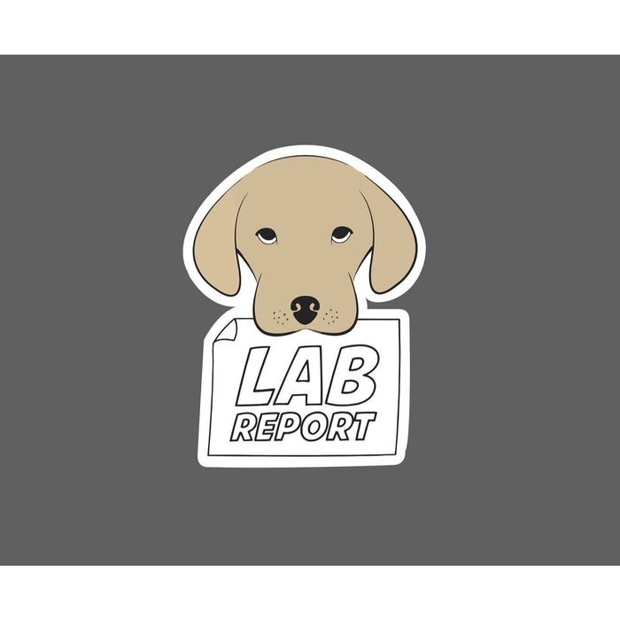 Lab Report Sticker Dog Assignment