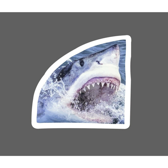 Shark Sticker Realistic Attack