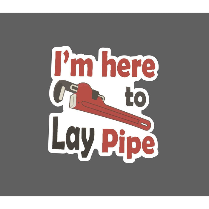 I'm Here To Lay Pipe Sticker Pipe Layer